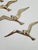 Gold Modernist Brass Wall Seagulls, 1960s, Set of 5 For Sale - Image 8 of 10