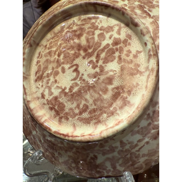 Majolica Antique 19th Century Grape Leaf Plate For Sale - Image 10 of 14