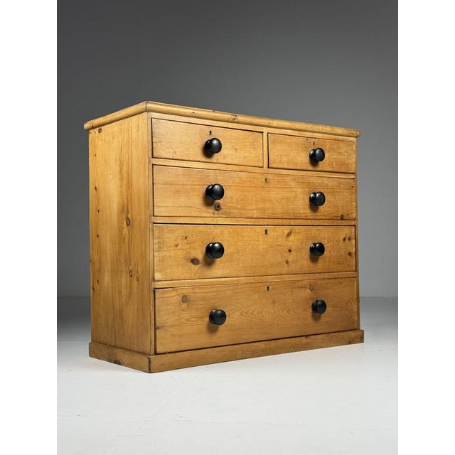 Pine Chest of Drawers, 19th Century For Sale - Image 15 of 15