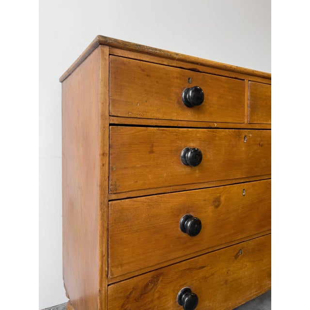 Antique English Pine Rustic Chest of Drawers With Black Knobs For Sale - Image 10 of 11