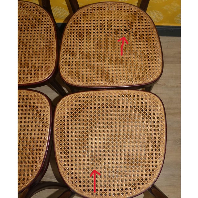 Thonet Vintage Bentwood Chairs by Michael Thonet for Thonet, 1960s, Set of 6 For Sale - Image 4 of 13