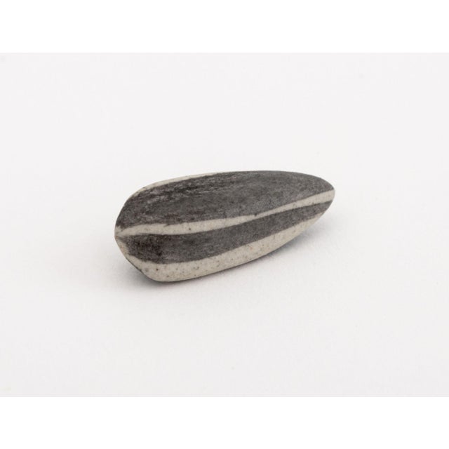 Dark Gray Ai Weiwei "Kui Hua Zi" Trompe l'Oeil Porcelain Sunflower Seeds in a Two-Piece Glass Vase For Sale - Image 8 of 10