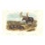 1851 Audubon Quadruped Octavo Lithograph "Plate 76 Moose Deer" For Sale