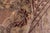 Textile Shabby Chic Agra Pak-Persian Green/Brown Wool Rug - 10'1'' X 14'3'' For Sale - Image 7 of 8