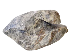 Torso of Woman
