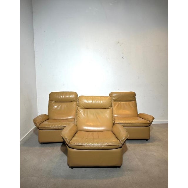 DS-50 Leather Lounge Chair from de Sede For Sale - Image 4 of 5