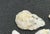 Collection of 10 Museum Cataloged Connecticut River Valley Quartz Artifacts Indigenous Lithic Tools For Sale - Image 12 of 14