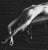 Contemporary Alex Manchev, Nude More Than Enough, 2019, Silkscreen For Sale - Image 3 of 8