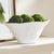 Kenneth Ludwig Chicago Madara Oval Vase Large For Sale - Image 4 of 4