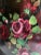 Here is an incredible antique tray that has a black background with a center of gorgeous hand-painted roses! Please note...
