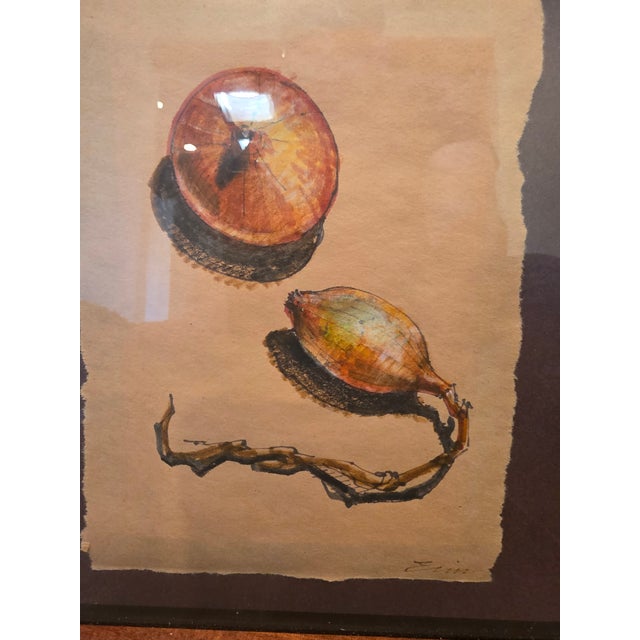 Late 20th Century Original Mixed-Media Still Life Drawing, Onion/Bulb Botanical Study on Paper - Signed For Sale - Image 4 of 7