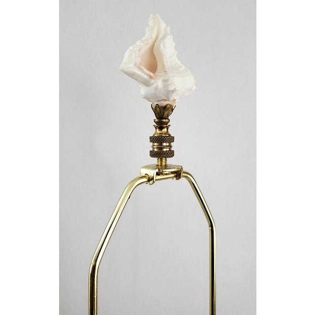 Lamp Seashells Shells Extra-Large Size - Restored For Sale - Image 11 of 17