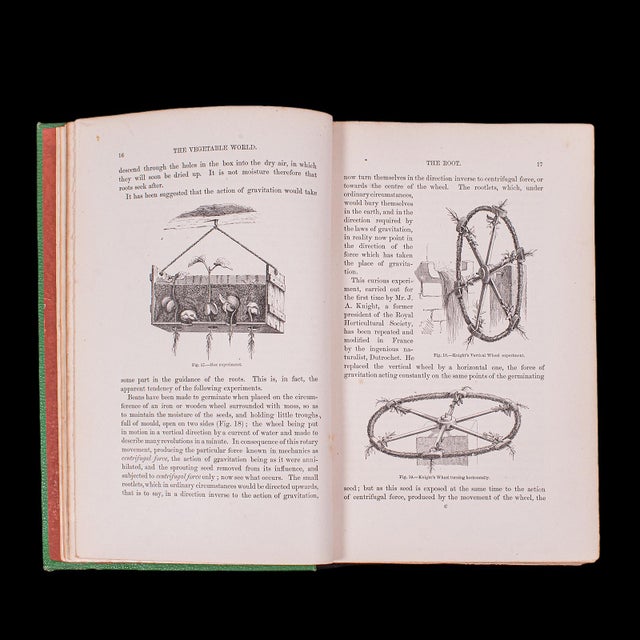 Mid 19th Century Antique Reference Book, the Vegetable World, English, Louis Figuier, Victorian For Sale - Image 5 of 12