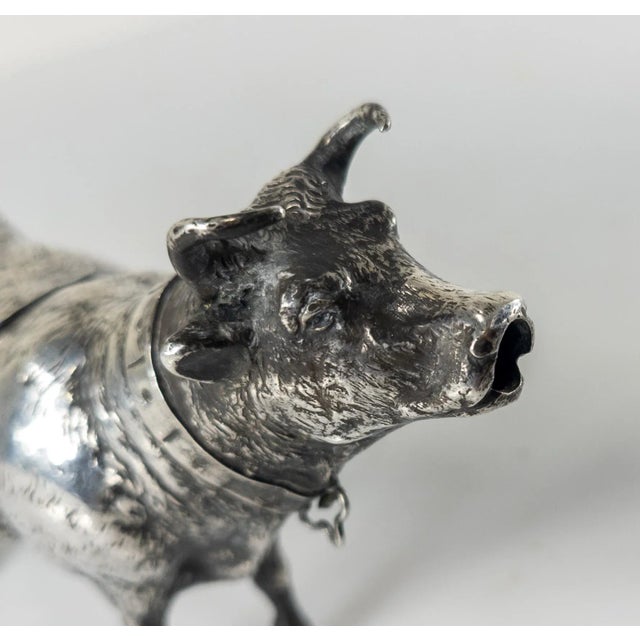 Late 19th Century German .800 Hanau Silver Cow Form Creamer by Neresheimer For Sale - Image 12 of 13