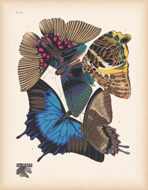 Papillons (Butterflies) Plate 16 Giclee Reproducion Art Print by Emile Allian Séguy