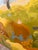 “Coyote Eye View” by LWren Walraven For Sale - Image 11 of 12