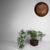 Wood Vintage Japanese Bamboo Zaru Harvest Basket, 1950s For Sale - Image 7 of 11
