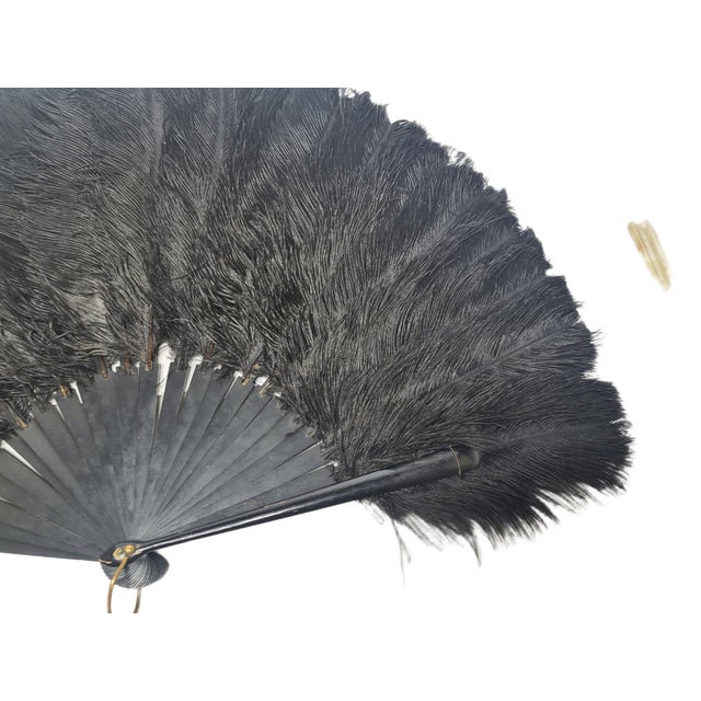 Art Deco Polish Autriche Feather Fan, 1920s For Sale - Image 15 of 16