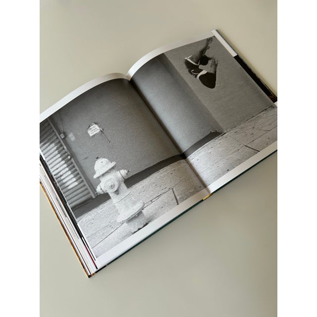 Art Book, Dara Friedman, Perfect Sranger 2017 For Sale - Image 4 of 12