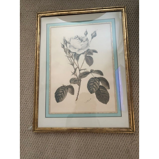 1930s Pierre-Joseph Redoute Botanical Florals - Pair For Sale - Image 4 of 9