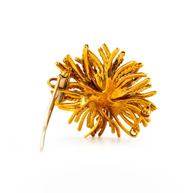 Modern Vintage Tiffany & Co. 18k Yellow Gold Sea Anemone Pin Brooch For Sale - Image 3 of 9