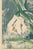Vintage Abstract Floral Art Print by Zolo Palugyay, Spring Flowers - 16" X 20" For Sale In Buffalo - Image 6 of 8
