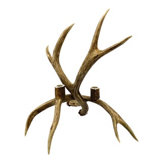 Vintage Deer Antler Table Top Double Candle Holder For Sale