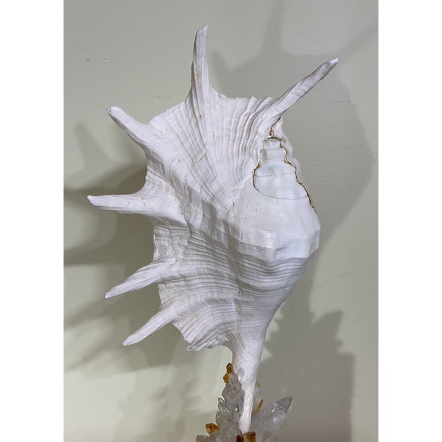Exquisite Fine Art Shell & Crystal Sculpture by Joseph Malekan For Sale - Image 4 of 15