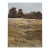 Late 20th Century Homestead Ranch Landscape Painting For Sale