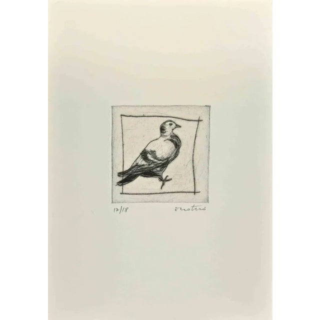 Pigeon is an Etching realized by Enotrio Pugliese in 1963. Limited edition of 18 copies numbered and signed by the artist....