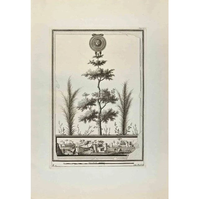 Medusa Head And Roman Garden from "Antiquities of Herculaneum" is an etching on paper realized by Filippo Morghen in the...