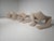 Zen Lounge Chair by Kwok Hoi Chan for Steiner, 1970s For Sale - Image 10 of 10