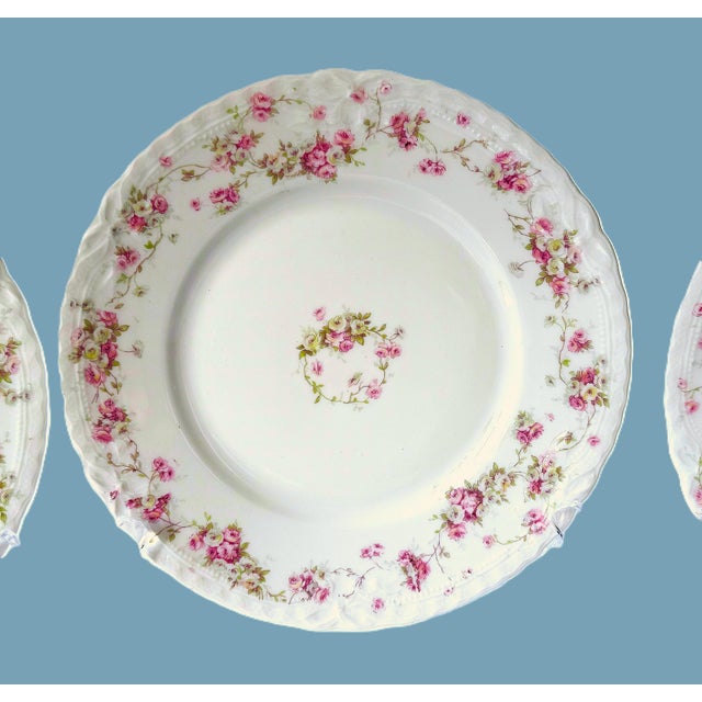 French Antique Haviland Limoges Plates, Set of 3 For Sale - Image 3 of 10