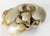 20th Century Chinese Qing Style Nephrite Jade Carving of Boys and Ram For Sale - Image 12 of 13
