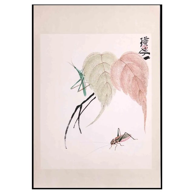 Unknown, Bugs and Leaves, Phototype Print, Mid-20th Century For Sale