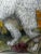 White Portrait Painting White Poodle Dog With Rhododendron Flowers by Charles Frederick Tunnicliffe For Sale - Image 8 of 12