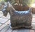 Vintage 1990s cast stone & painted Scottie Dog Garden Statue by Henri, American. Well modelled & detailed showing the...