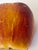 Large handmade wax apple sculpture Handpainted.