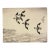 1940s Buffleheads Etching by Paul Winchell For Sale