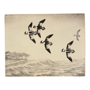 1940s Buffleheads Etching by Paul Winchell