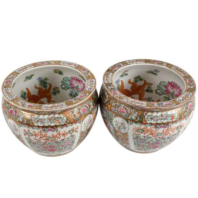 Chinese Pair of Chinese Famille Rose Porcelain Fishbowl Planters For Sale - Image 3 of 7