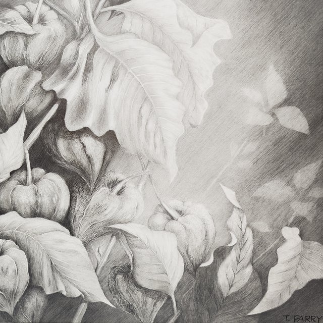 Chinese Lantern #2 - Tomoko Parry, C. 1990s For Sale In San Diego - Image 6 of 10