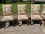 Late 20th Century Late 20th Century Chinese Chippendale Dining Chairs by Baker - Set of 8 For Sale - Image 5 of 13