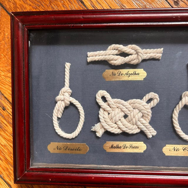 Late 20th Century Vintage Framed Nautical Knot Display With Portuguese Labels- Coastal Wall Decor For Sale - Image 5 of 7
