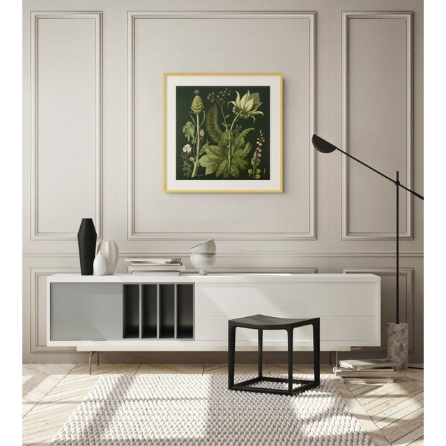 Contemporary Dark Green Antique Botanical Garden Study No. 11 - Natural History Fine Art Print For Sale - Image 3 of 4
