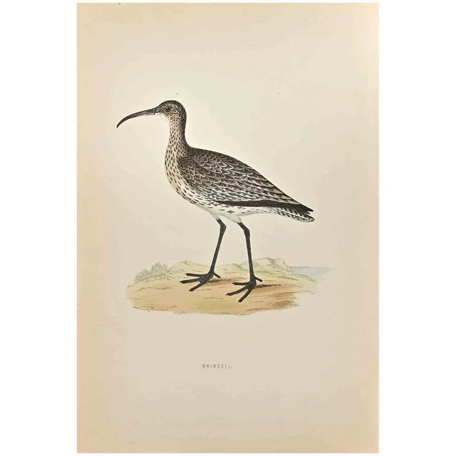 Whimbrel is a modern artwork realized in 1870 by the British artist Alexander Francis Lydon (1836-1917). Woodcut print on...