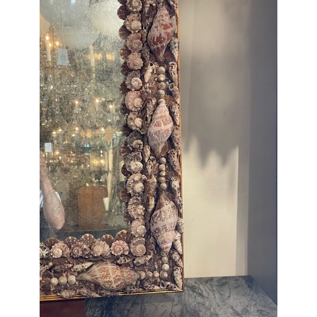 Coastal Vintage Sea Shell MIrror For Sale - Image 3 of 8