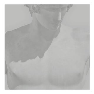 Benoit Lapray, Iconic Beauty #07, Photographic Print For Sale