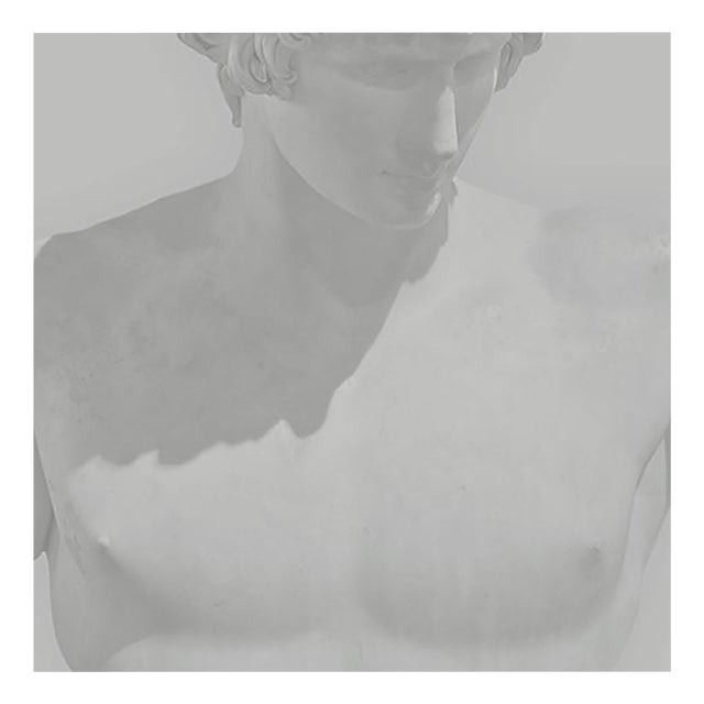 Benoit Lapray, Iconic Beauty #07, Photographic Print For Sale