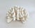 White Natural Pacific Elk Coral Coastal Home Decor For Sale - Image 8 of 8